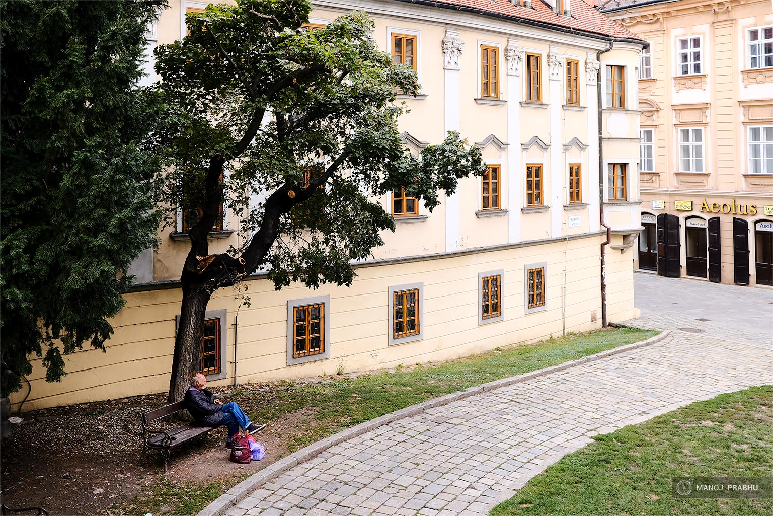 A man ponders while sitting on a bench under a tree. (Shot on Fujifilm X-Pro2 using Kodak Ektar 100 film simulation recipe)