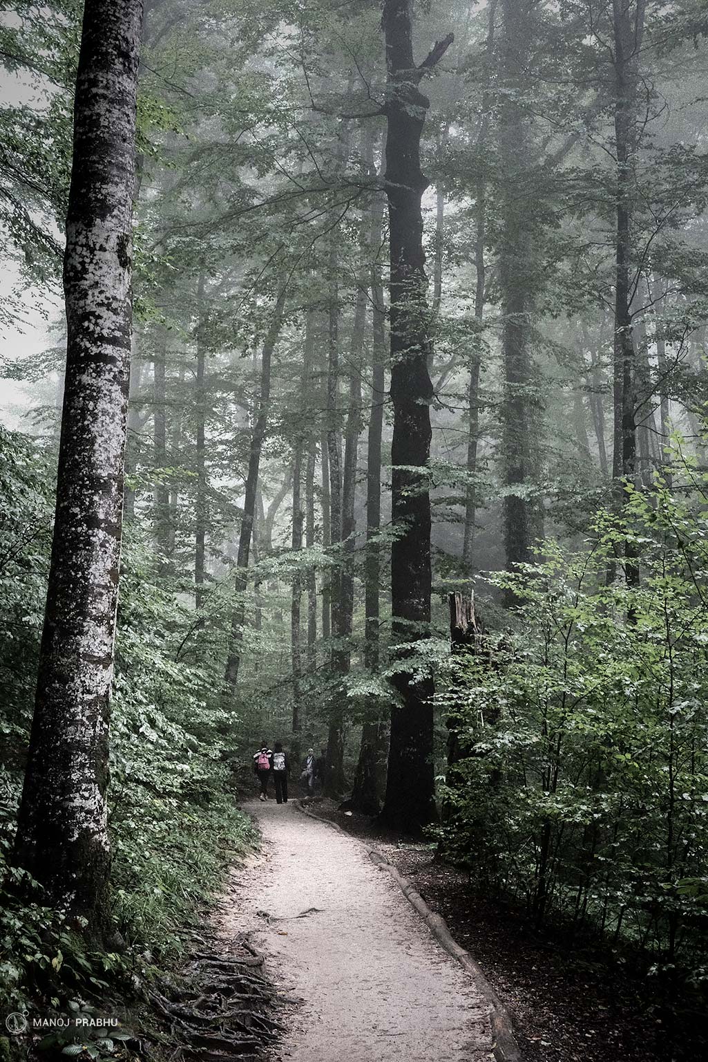 MP_RainyDay-XTrans4-10